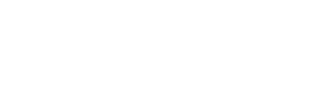 HZFine-Auto Logo